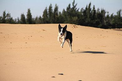 《迪士尼魔法城堡2:魔法版》宣传片发布 12月2日上线